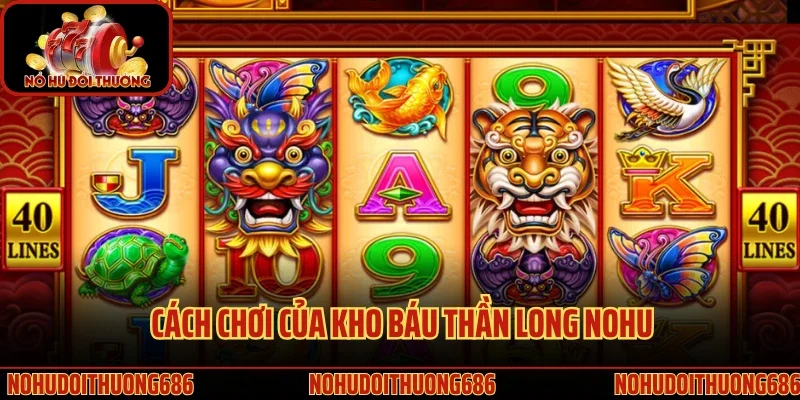 Cách chơi của kho báu thần long Nohu
